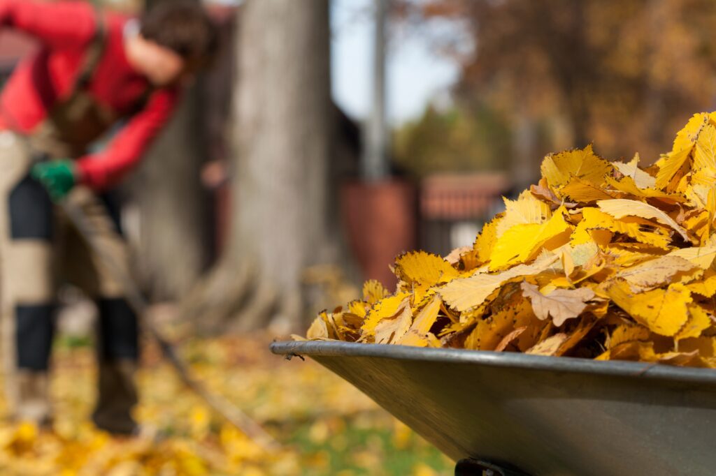 Preparing Your Garden for Autumn