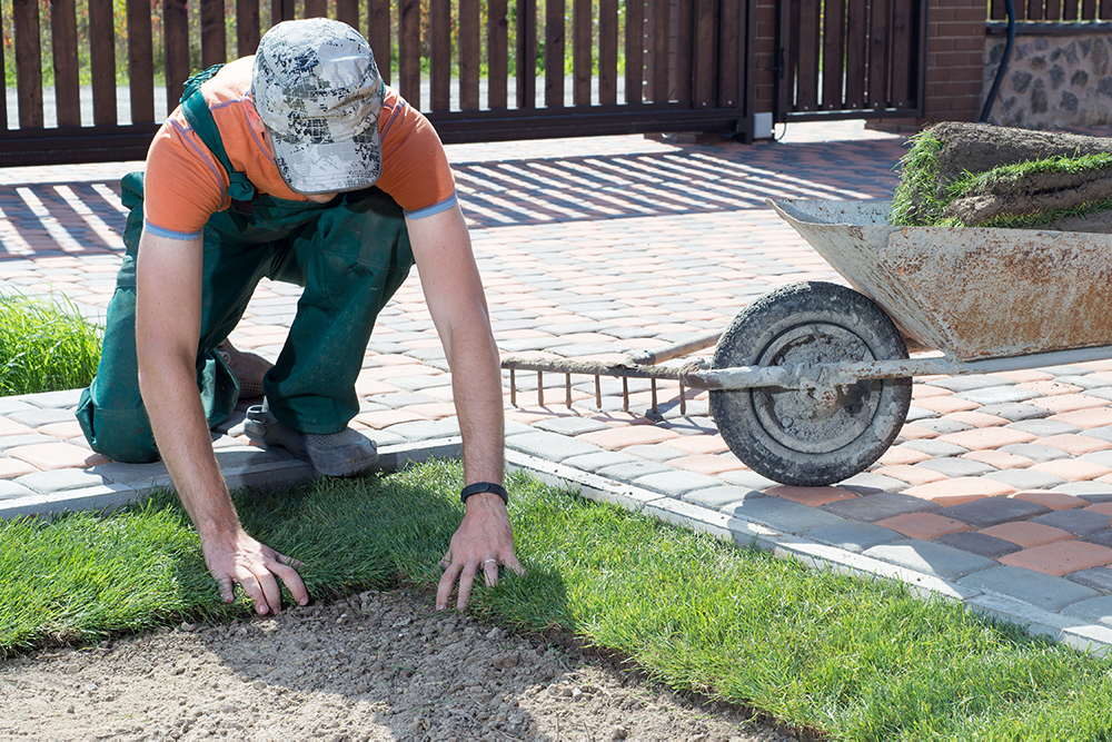 What Do Landscape Gardeners Do