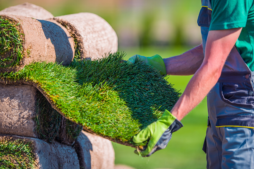 Why Hire A Professional Landscape Gardener