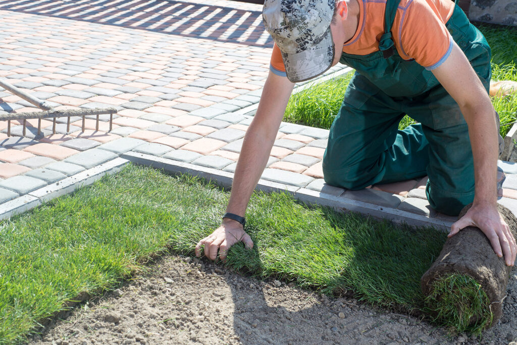 DIY vs. professional landscaping services – which is best