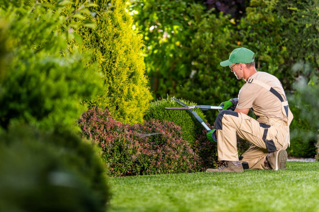 The advantages of hiring professional landscapers in Essex