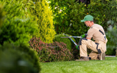 The advantages of hiring professional landscapers in Essex