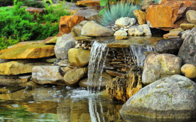 The Best Ways To Incorporate Water Into Your Landscape Designed Garden