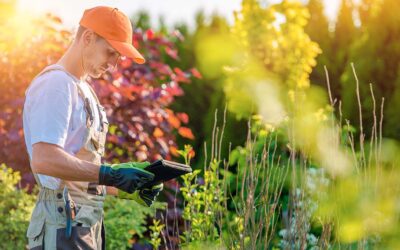 5 Questions to Ask When Choosing A Landscape Gardening Company