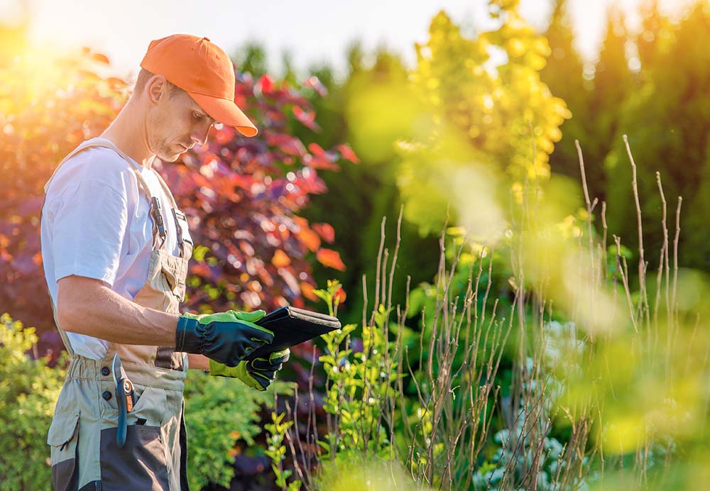 5 Questions to Ask When Choosing A Landscape Gardening Company